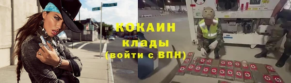 мет Анива