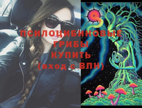 марки lsd Богданович